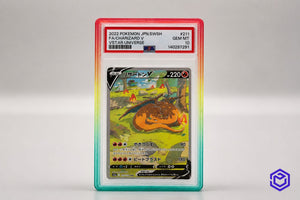 Ace Acryl Guard Turquise/Geel/Rood
