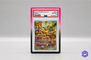 Ace Acryl  Guard Zwart/Roze