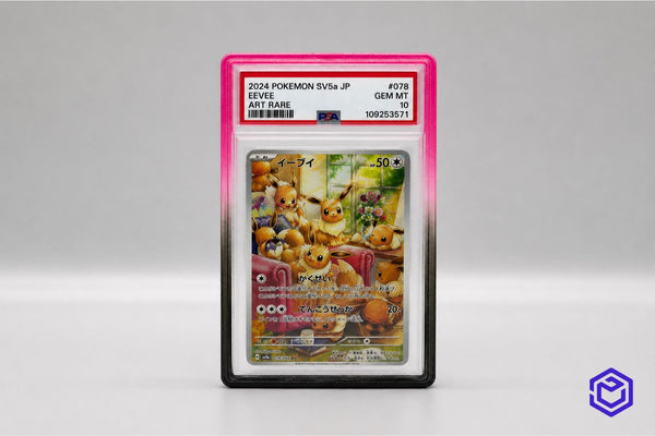 Ace Acryl Stoßstange Schwarz/Rosa