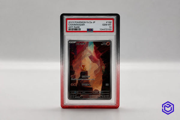 Ace Acryl Bumper Orange/Schwarz