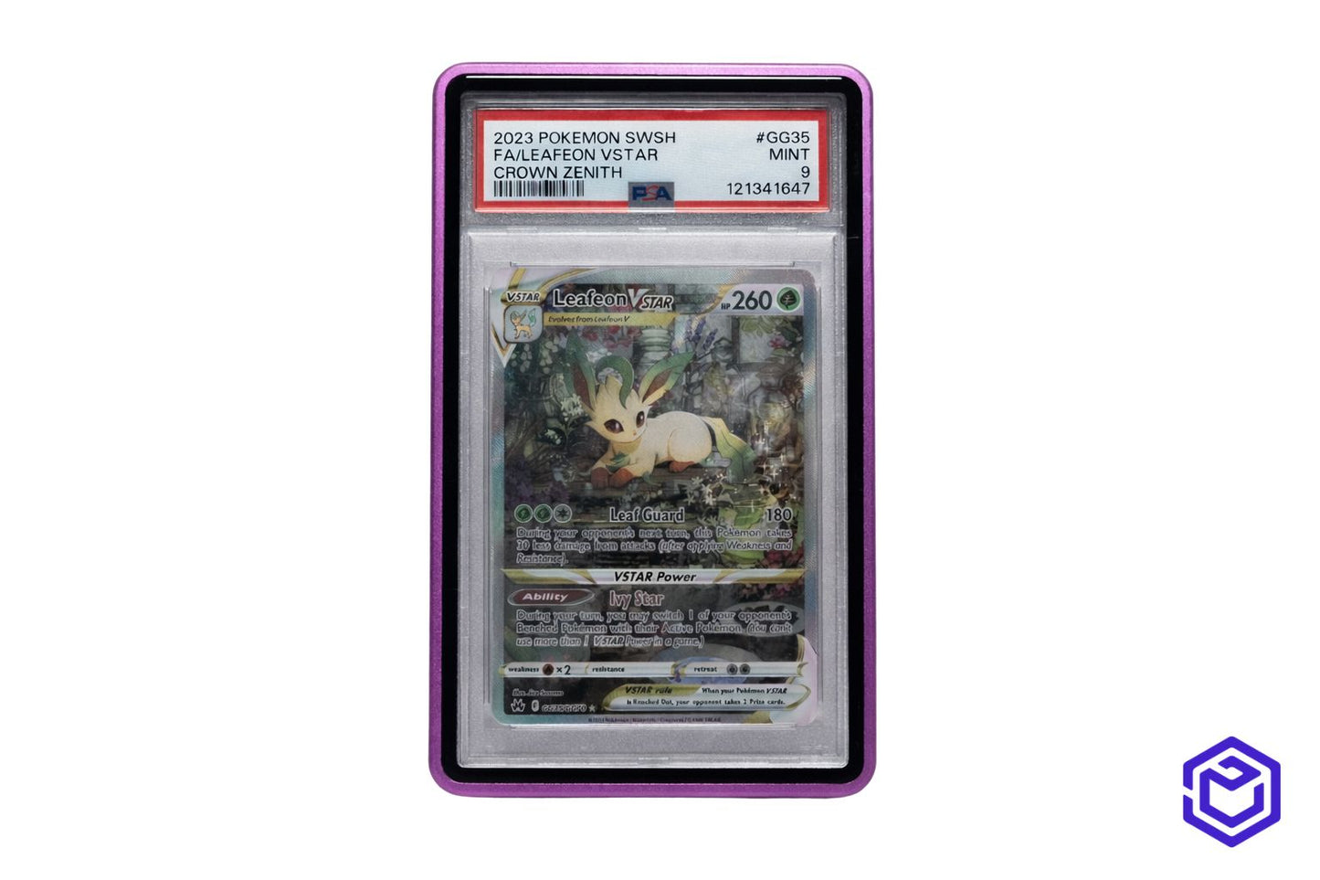Psa slab case