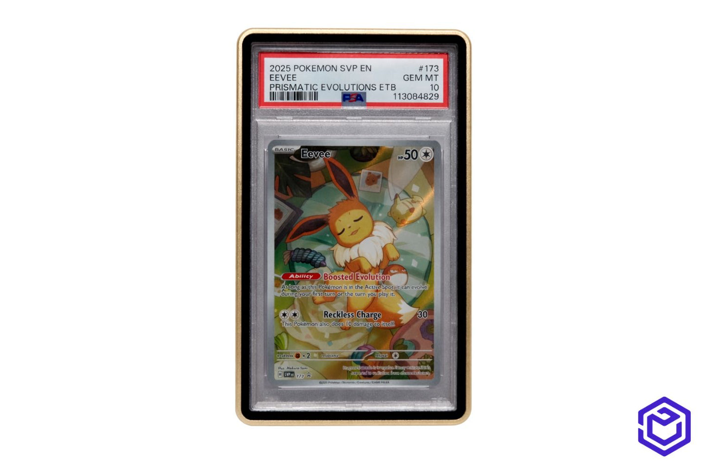 Psa slab case