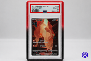 Ace Acryl Guard Rood/Zwart