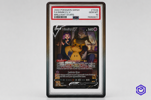 Ace Acryl Guard Zwart/Bruin